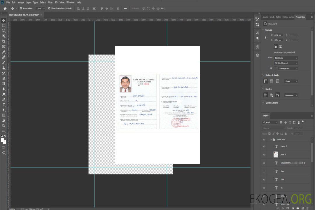 Permis de travail au VIETNAM template